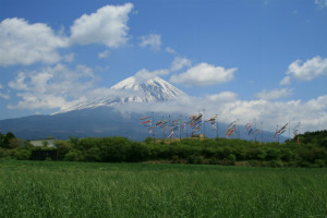 朝霧高原写真３