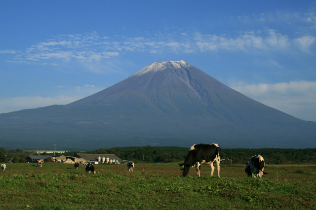 朝霧高原 富士宮市 について Mt Fuji Wood Project