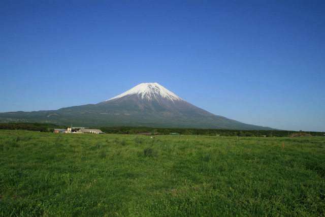 朝霧高原 富士宮市 について Mt Fuji Wood Project